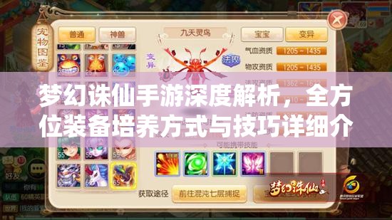 梦幻诛仙手游深度解析，全方位装备培养方式与技巧详细介绍