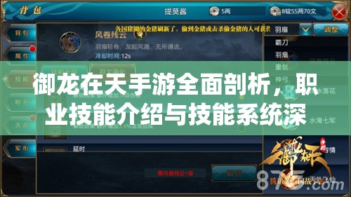 御龙在天手游全面剖析，职业技能介绍与技能系统深度攻略解析