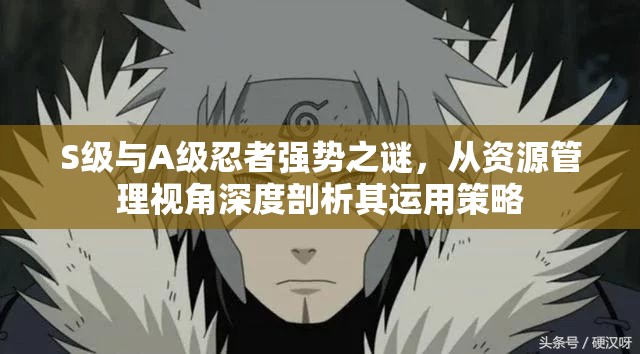 S级与A级忍者强势之谜，从资源管理视角深度剖析其运用策略