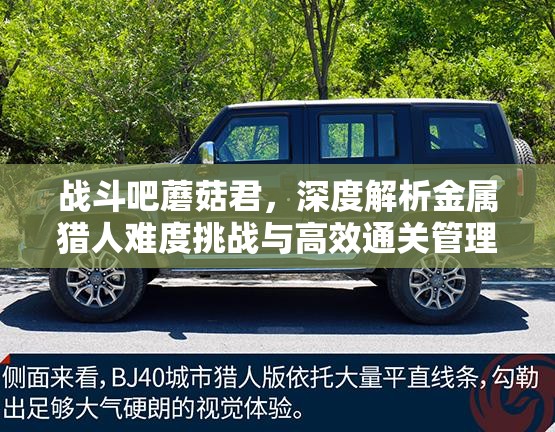 战斗吧蘑菇君，深度解析金属猎人难度挑战与高效通关管理策略
