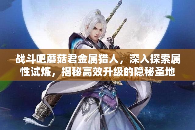 战斗吧蘑菇君金属猎人，深入探索属性试炼，揭秘高效升级的隐秘圣地