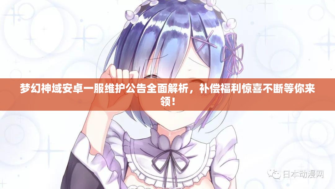 梦幻神域安卓一服维护公告全面解析，补偿福利惊喜不断等你来领！
