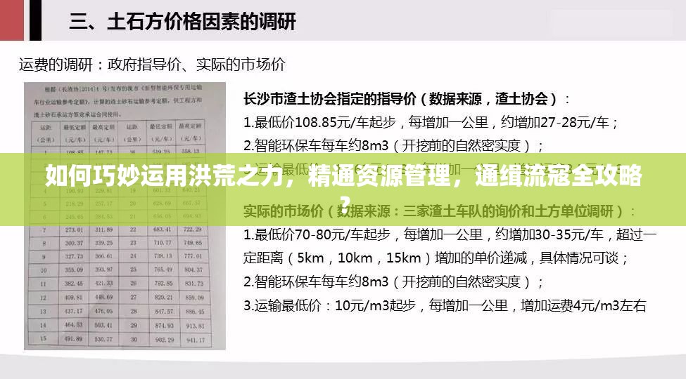 如何巧妙运用洪荒之力，精通资源管理，通缉流寇全攻略？