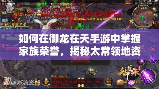 如何在御龙在天手游中掌握家族荣誉，揭秘太常领地资源管理的艺术？