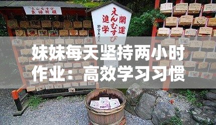 妹妹每天坚持两小时作业：高效学习习惯如何助力学业进步与时间管理