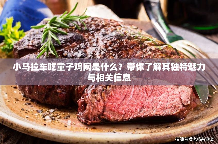 小马拉车吃童子鸡网是什么？带你了解其独特魅力与相关信息