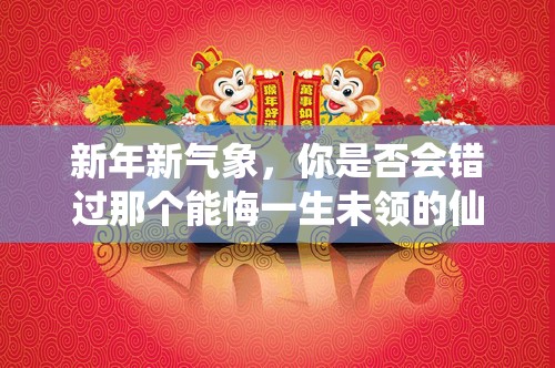 新年新气象，你是否会错过那个能悔一生未领的仙缘免费福利？
