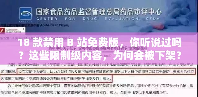 18 款禁用 B 站免费版，你听说过吗？这些限制级内容，为何会被下架？