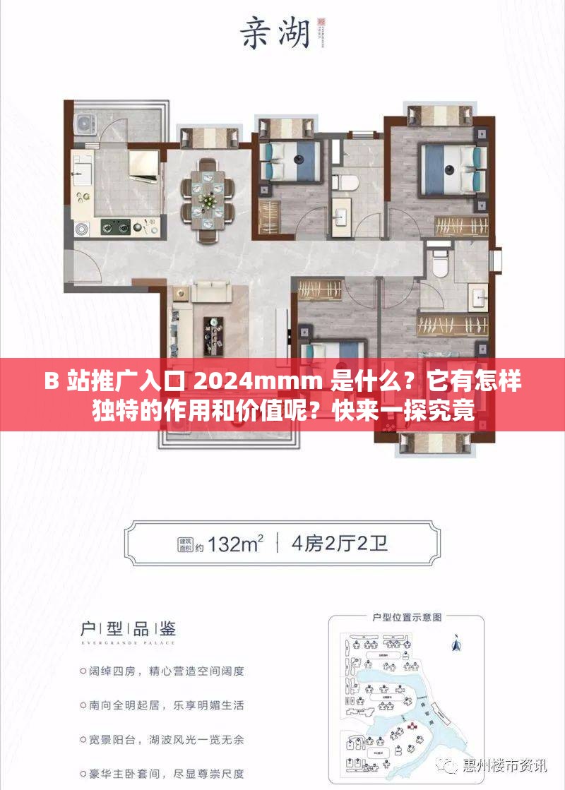B 站推广入口 2024mmm 是什么？它有怎样独特的作用和价值呢？快来一探究竟
