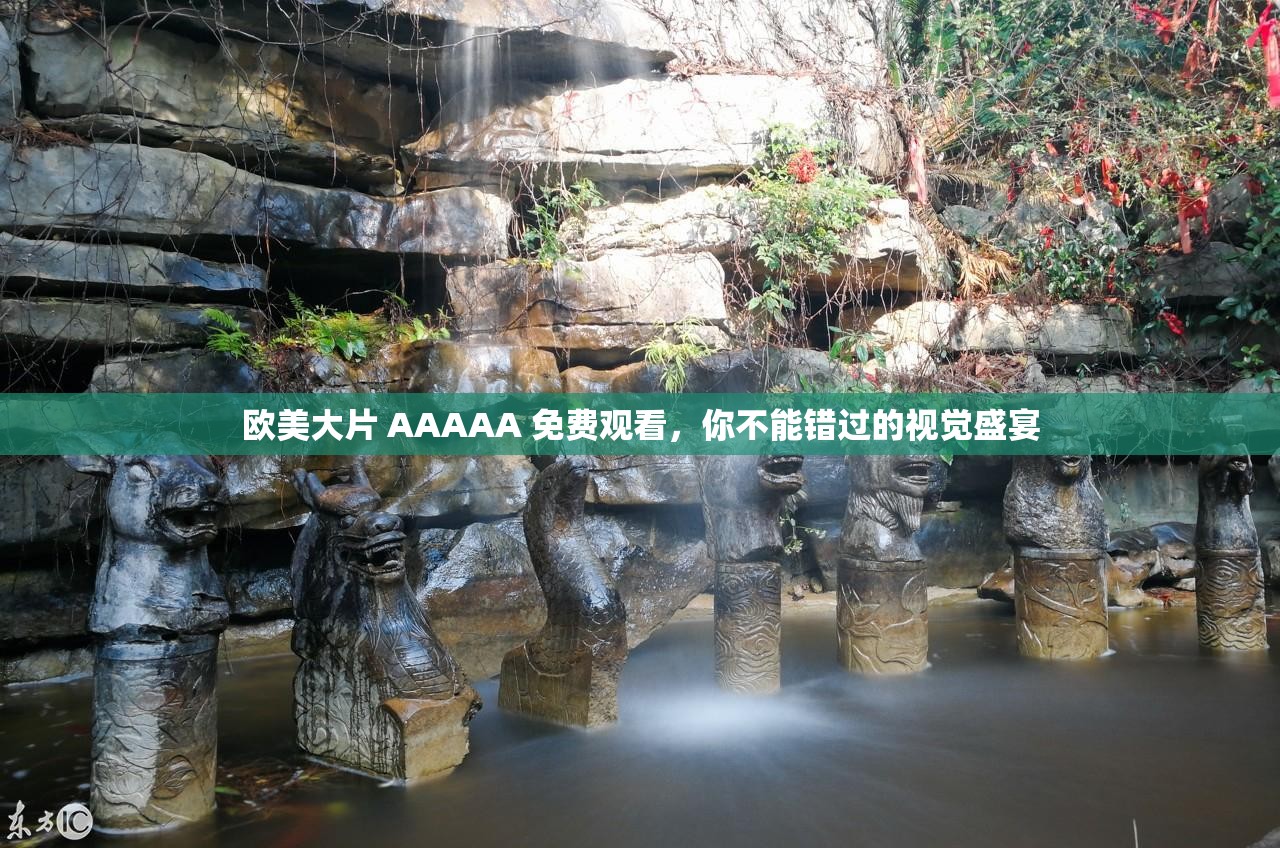 欧美大片 AAAAA 免费观看，你不能错过的视觉盛宴