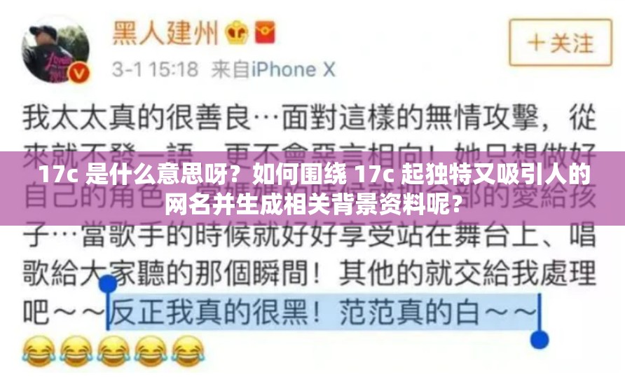 17c 是什么意思呀？如何围绕 17c 起独特又吸引人的网名并生成相关背景资料呢？