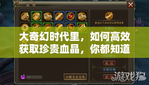 大奇幻时代里，如何高效获取珍贵血晶，你都知道哪些途径呢？