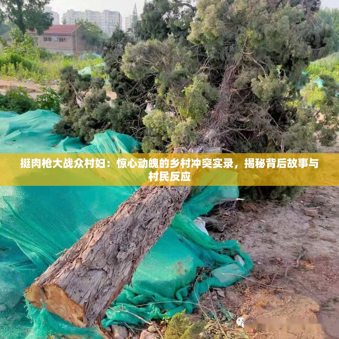 挺肉枪大战众村妇：惊心动魄的乡村冲突实录，揭秘背后故事与村民反应