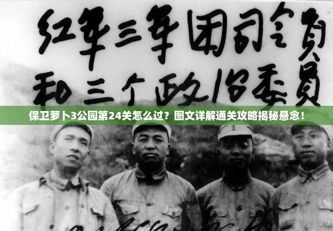 保卫萝卜3公园第24关怎么过？图文详解通关攻略揭秘悬念！