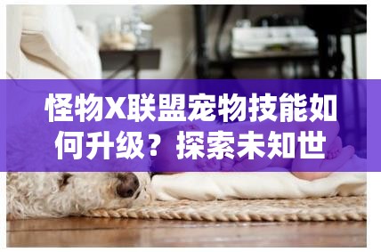 怪物X联盟宠物技能如何升级？探索未知世界视频及玩法革命大预测！