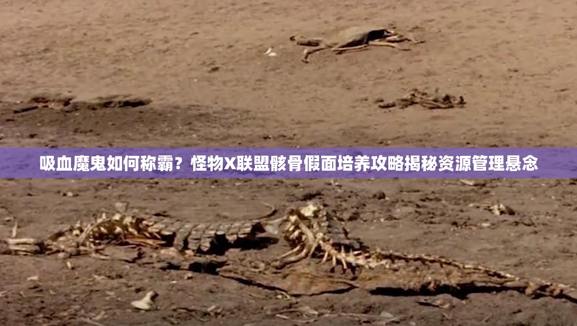 吸血魔鬼如何称霸？怪物X联盟骸骨假面培养攻略揭秘资源管理悬念
