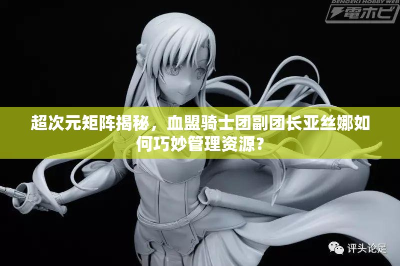 超次元矩阵揭秘，血盟骑士团副团长亚丝娜如何巧妙管理资源？