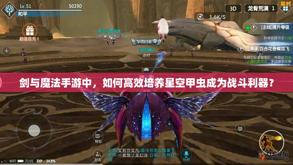 剑与魔法手游中，如何高效培养星空甲虫成为战斗利器？