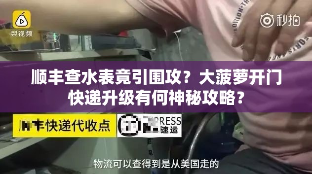 顺丰查水表竟引围攻？大菠萝开门快递升级有何神秘攻略？