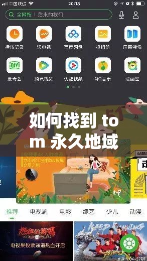如何找到 tom 永久地域网名入口？探寻网络世界的奇妙之旅