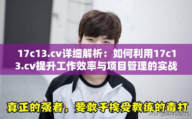 17c13.cv详细解析：如何利用17c13.cv提升工作效率与项目管理的实战技巧