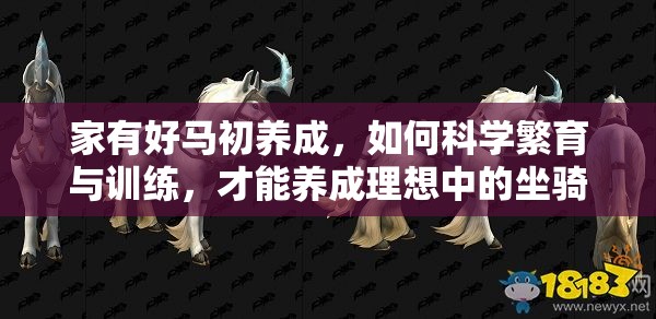 家有好马初养成，如何科学繁育与训练，才能养成理想中的坐骑？