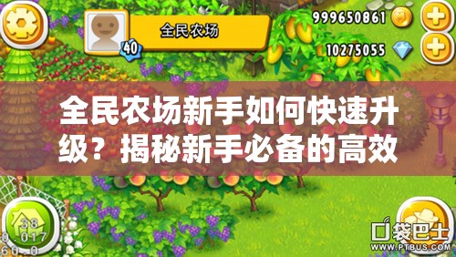 全民农场新手如何快速升级？揭秘新手必备的高效升级攻略！