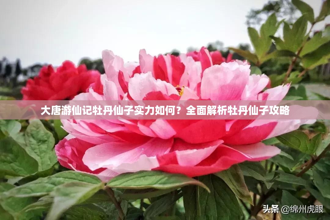 大唐游仙记牡丹仙子实力如何？全面解析牡丹仙子攻略