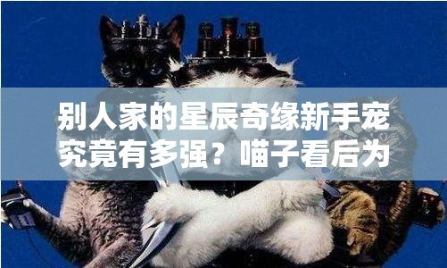别人家的星辰奇缘新手宠究竟有多强？喵子看后为何泪流满面？