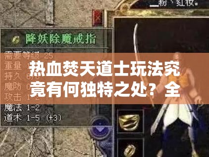 热血焚天道士玩法究竟有何独特之处？全面攻略揭秘！