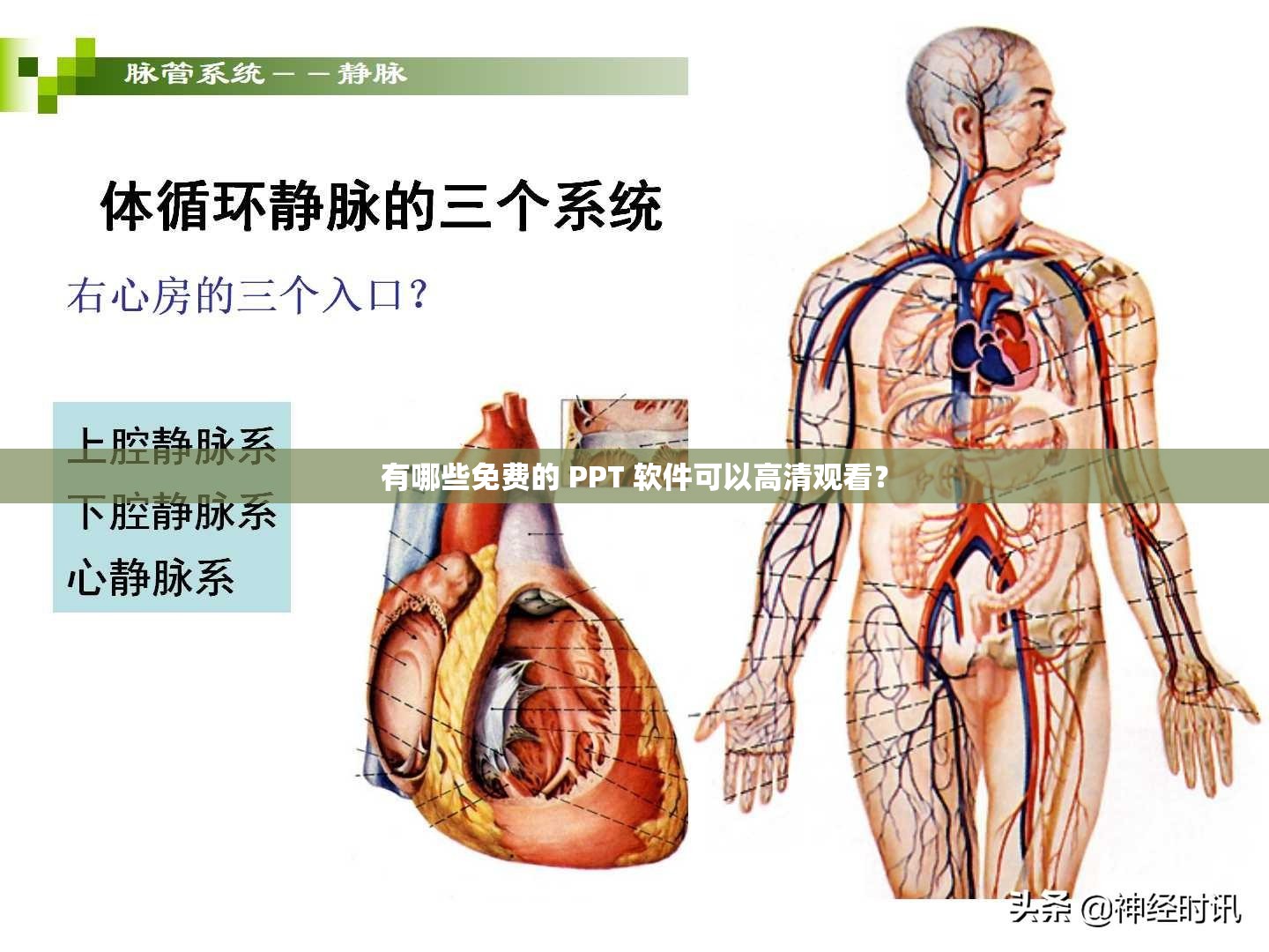 有哪些免费的 PPT 软件可以高清观看？